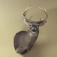 Terry Poole Photo 25 Terry Poole Photo 25