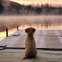 Sharon Latimer Photo 18