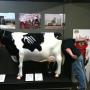 Bob Cardwell Photo 12