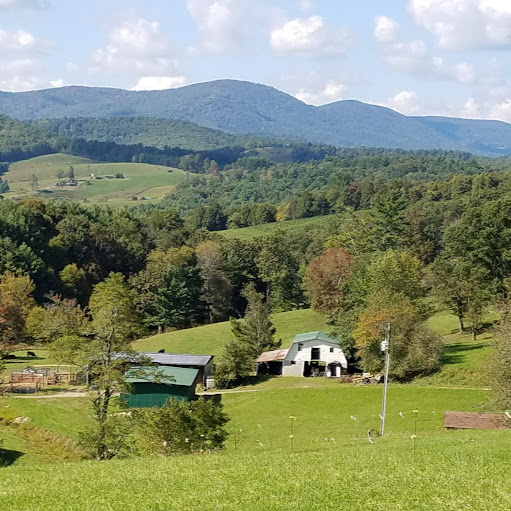 Ann Cunningham Photo 23