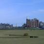 Dawn Hinds Photo 17