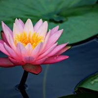 Claudia Draper Photo 11