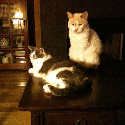 Susan Buckles Photo 8