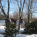 Charlotte Rowe Photo 21