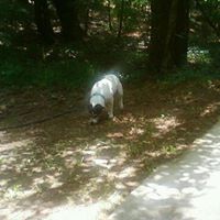 Phyllis Harding Photo 15 Phyllis Harding Photo 15