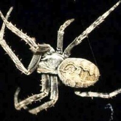 Laura Summers Photo 16 Laura Summers Photo 16