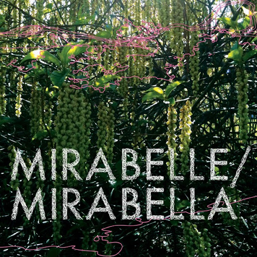 Michael Chambers Photo 19