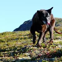 Pauline Strong Photo 15 Pauline Strong Photo 15