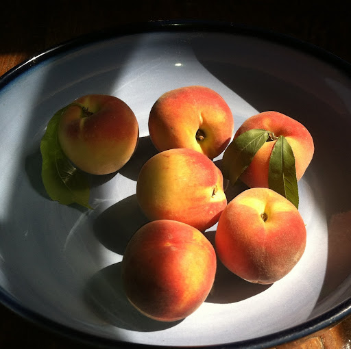 Elizabeth Goss Photo 18