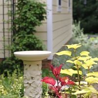 Virginia Powers Photo 22