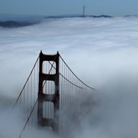 Arlene Warner Photo 17