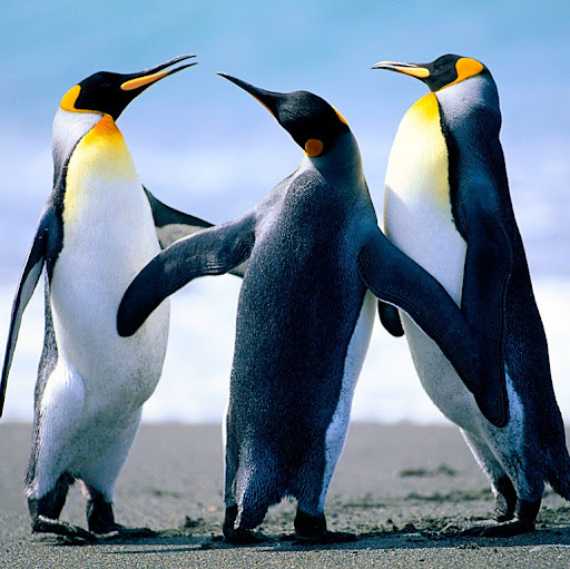 Christopher Rodriguez Photo 26 Christopher Rodriguez Photo 26