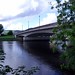 Douglas Shotts Photo 5