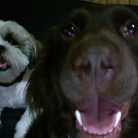 Max Hammond Photo 13