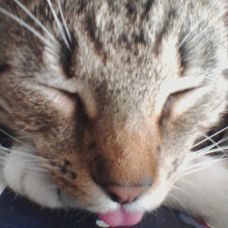 Jill Sharp Photo 21 Jill Sharp Photo 21