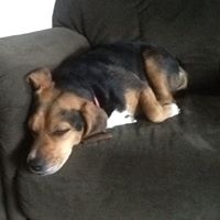 Sally Kauffman Photo 3