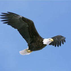 Nick Beeson Photo 19