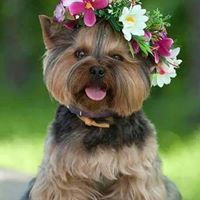 Josette Fernandez Photo 2