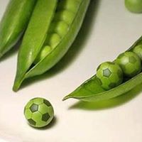 Adam Pease Photo 27 Adam Pease Photo 27