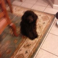 Kathleen Kerns Photo 14