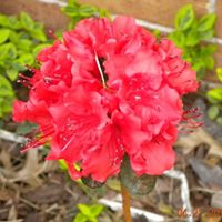 Krista Welch Photo 27