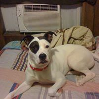 Dorothy Lindsey Photo 29