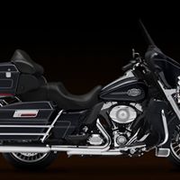 David Paull Photo 29