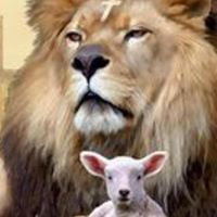 Ann Durham Photo 24 Ann Durham Photo 24