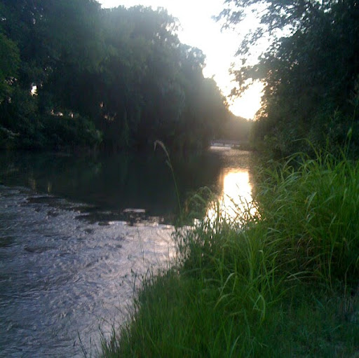 Ann Moser Photo 17