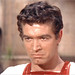 Stephen Huston Photo 6