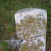 William Mabry Photo 17