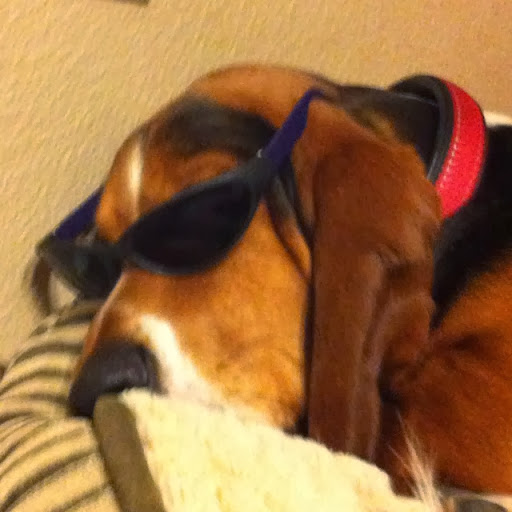 Robert Mclaren Photo 9