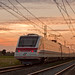 Frank Pisano Photo 12