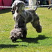 Cynthia Mauldin Photo 21