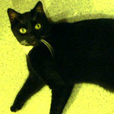 Catherine Patton Photo 10