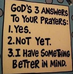 Dorothy Joyner Photo 27