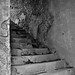 Debra Stone Photo 11