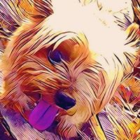 Cheryl Grogan Photo 4