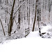 Daniel Winters Photo 16