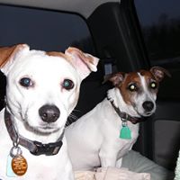 Catherine Sommers Photo 3