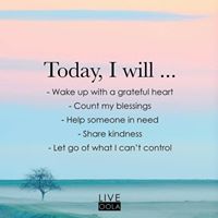 Debbie Bohn Photo 21