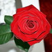Debbie Edmunds Photo 9
