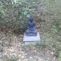 Kenneth Garrison Photo 11