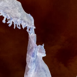 Lindsay Fraser Photo 9