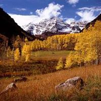 Karen Schenk Photo 16