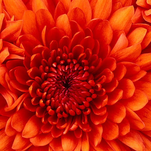 Valerie Washington Photo 42