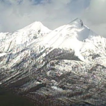 Tracey Mills Photo 9