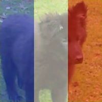 Theresa Foreman Photo 26