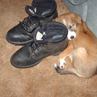 Kathy Boone Photo 21