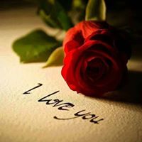 Terri Jenkins Photo 40